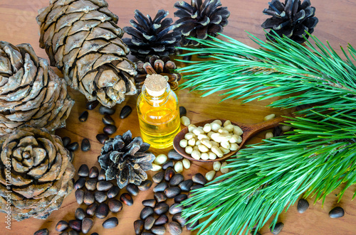 Cedar pine nuts and oil