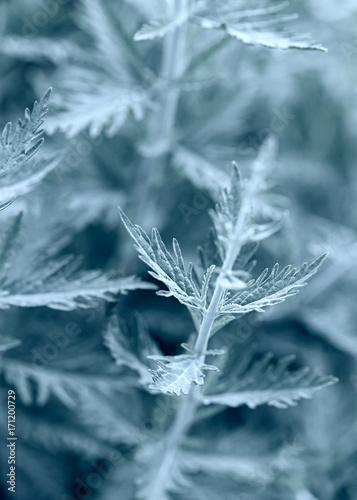 Bild auf Leinwand Abstract Nature Background
