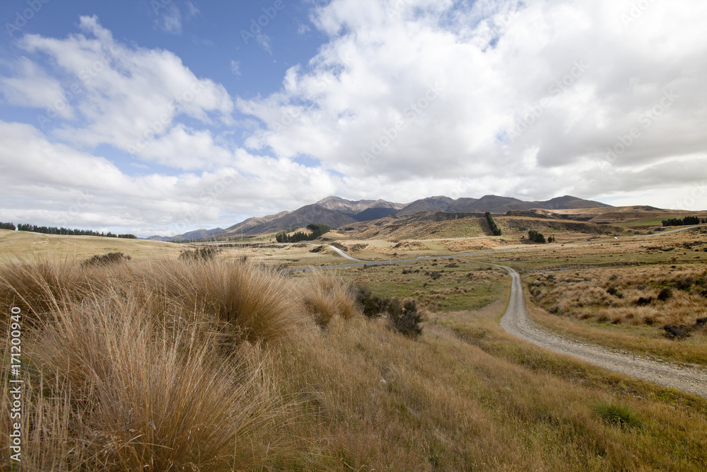 Steppenlandschaft in Central Otago, Neuseeland