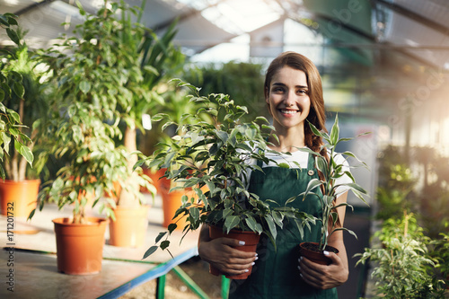 Fotografie, Tablou Young happy female gardener holding plants in pots in owner run greenery store