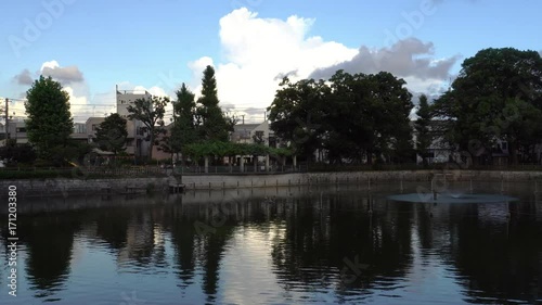 Summer park pond in Tokyo - video 4K UHD 1 photo