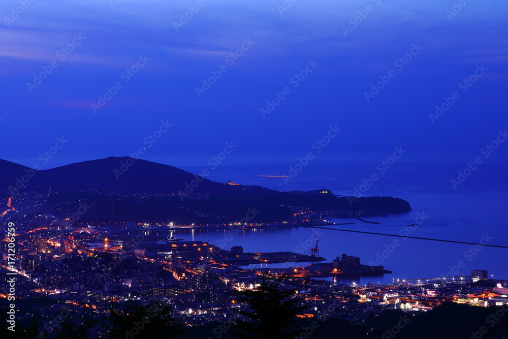 Naklejka premium Otaru night view