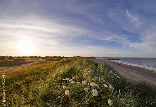 Golf course at the beach, Rosslare Strand, Ireland photo