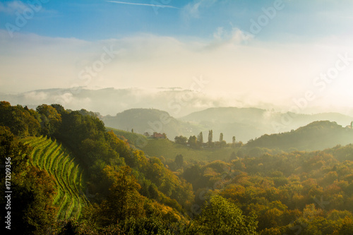 Weinberge in der Südsteiermark