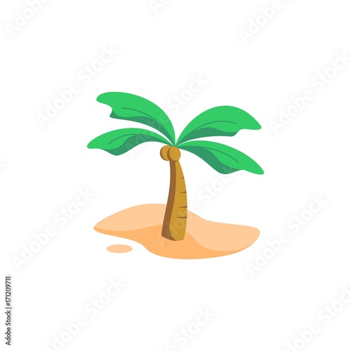 coconut tree vector illustration