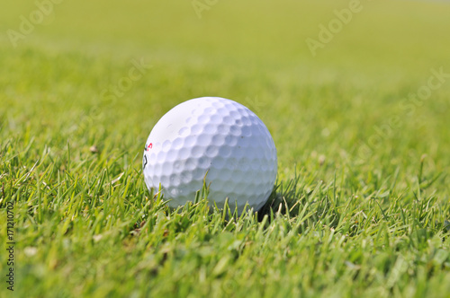 balle de golf dans l'herbe rase d'un green
