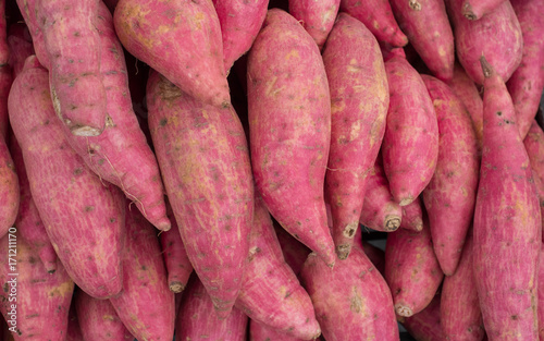 Group of Japanese sweet potatoes, Texture and background