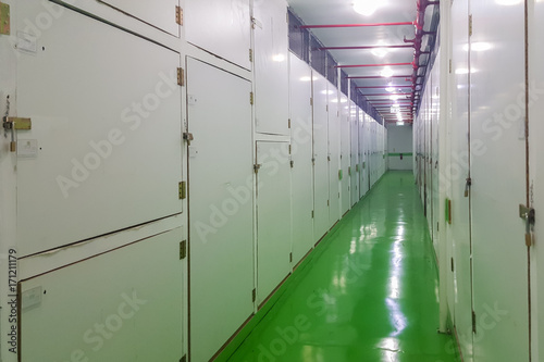 Wallpaper Mural Long corridor, green floor and cart, self-storage facilities interior, units with locks on both sides Torontodigital.ca