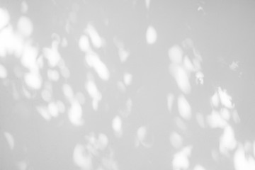 Black and White  abstract background textuer of shadows leaf on a concrete wall.