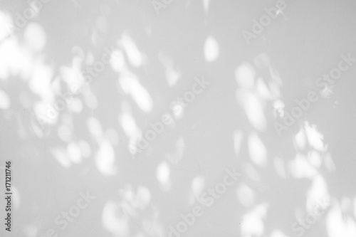 Black and White  abstract background textuer of shadows leaf on a concrete wall. photo