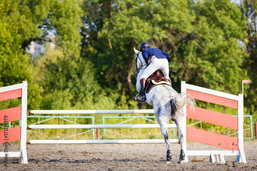 Young rider man on grey horse jumping over hurdle on show jumping competition. Rear view with copy space © skumer