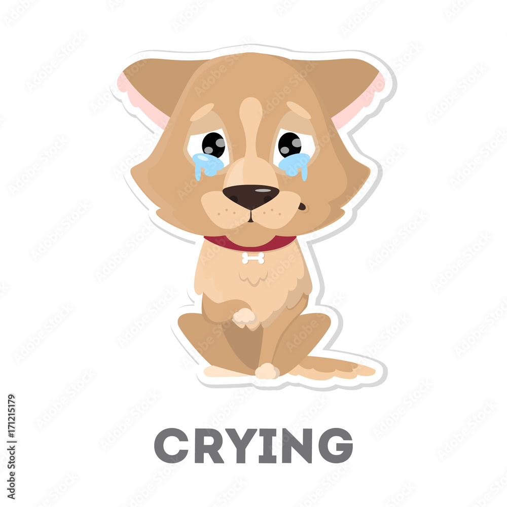 Obraz premium Isolated crying dog.