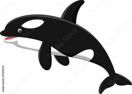 Cartoon orca isolated on white background