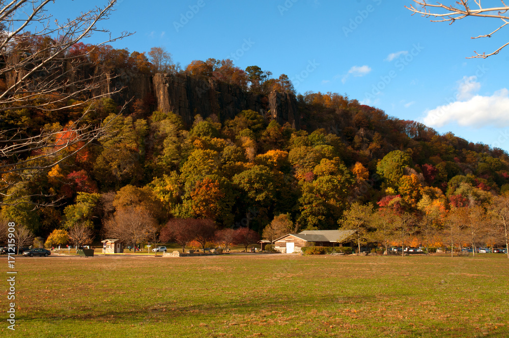 Autumn landscape. Autumn trees. Beautiful fall forest. Autumn landscape. Autumn trees. Beautiful fall forest.