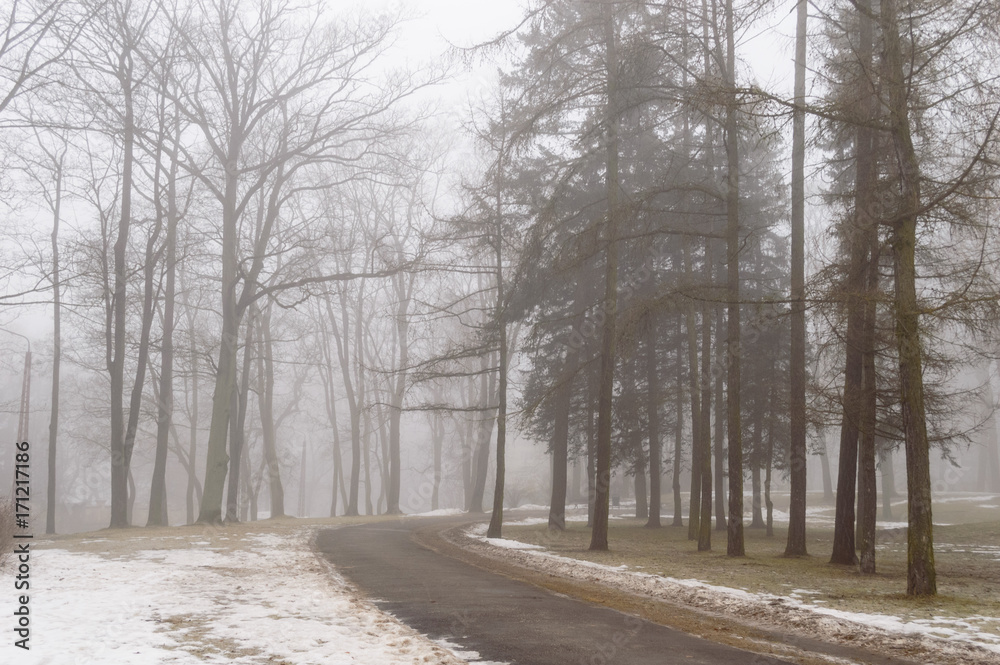 snowy winter city park in mist snowy winter city park in mist