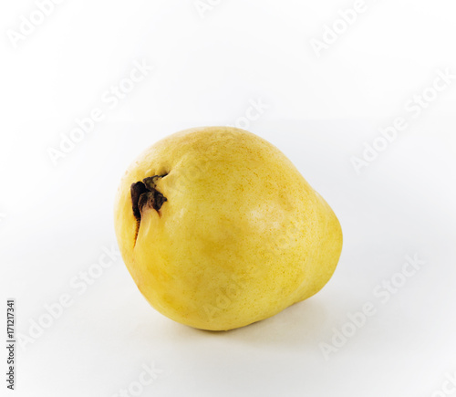 One guava fruit on a white background