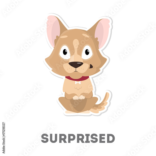 Isolated surprised dog.