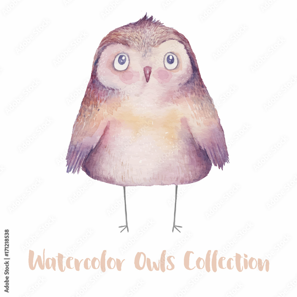 Obraz premium Cute watercolor owl. Hand drawn watercolor illustration with animal