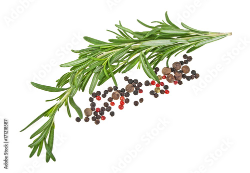 Fresh organic rosemary and peppercorns isolated on a white background