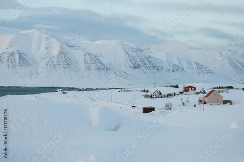 winter in the Icelandic countryside
