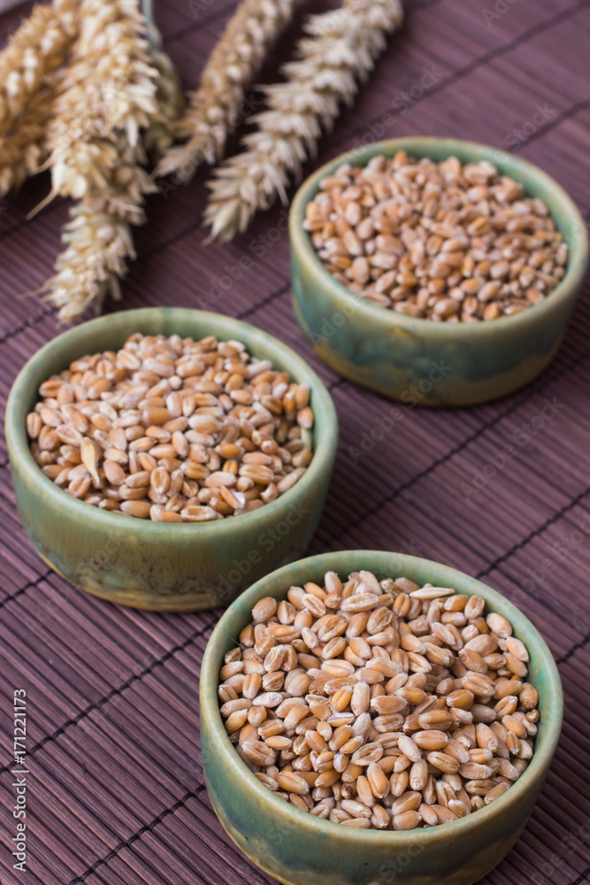 Wheat grains in green boxes on a brown background Wheat grains in green boxes on a brown background