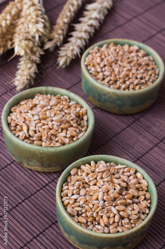 Wheat grains in green boxes on a brown background