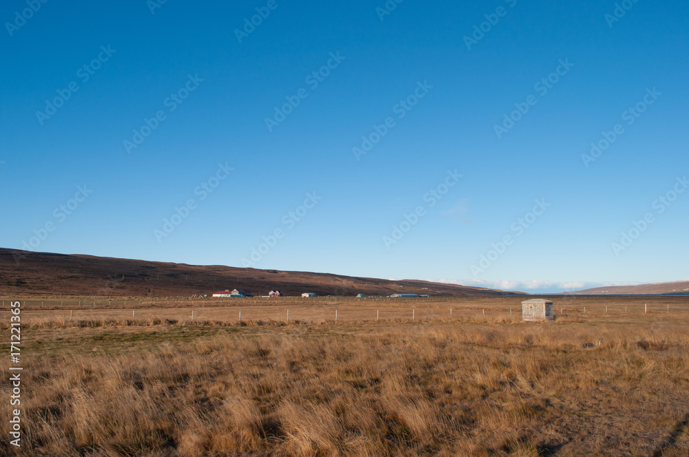 farms in Northern Iceland