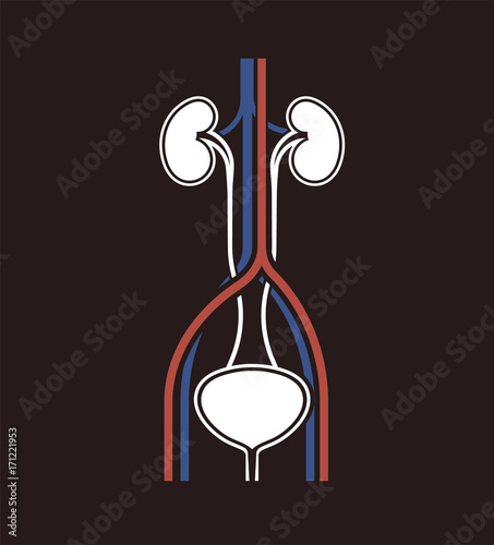 Urology medical icon