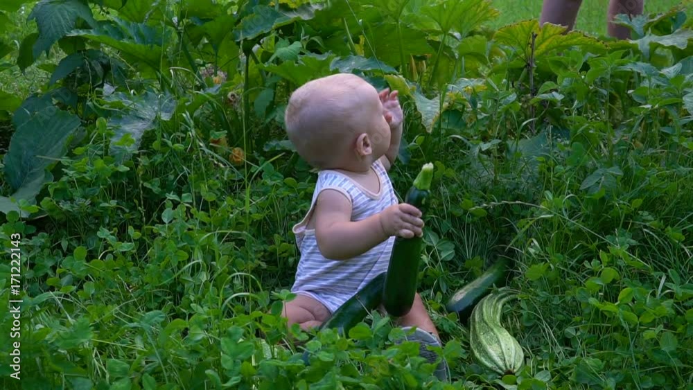 little boy sitting with zucchini in his hand little boy sitting with zucchini in his hand