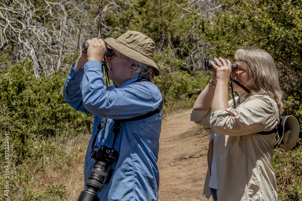 Couple Hiking and Birdwatching in Woods on a Sunny Day Couple Hiking and Birdwatching in Woods on a Sunny Day