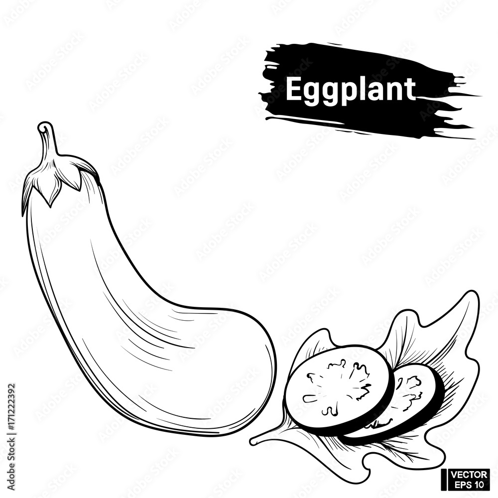 Eggplant drawing isolated hand drawn object Vector Image