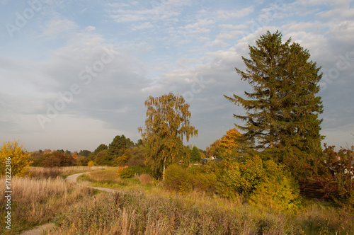 nature in the suburbs of Copenhagen photo