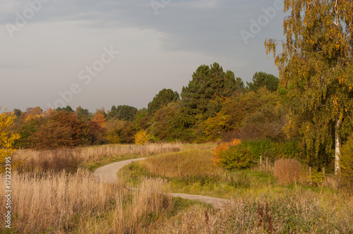 fall in danish countryside photo