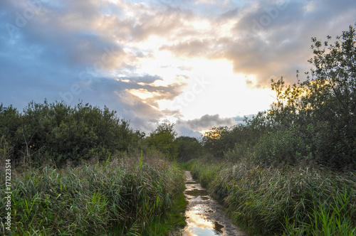 Small danish River with a sunny sky photo