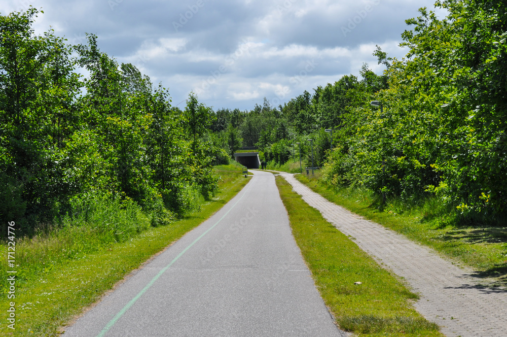Fototapeta premium path in Aalborg Denmark