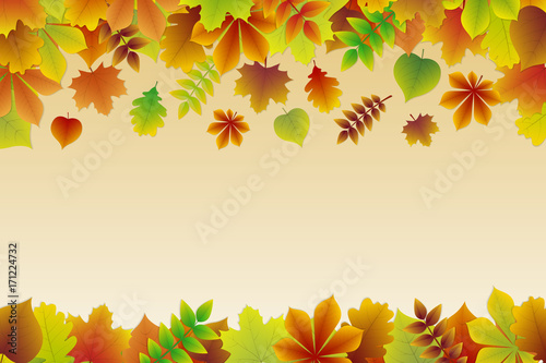 Background with colourful autumnal leaves. Vector.