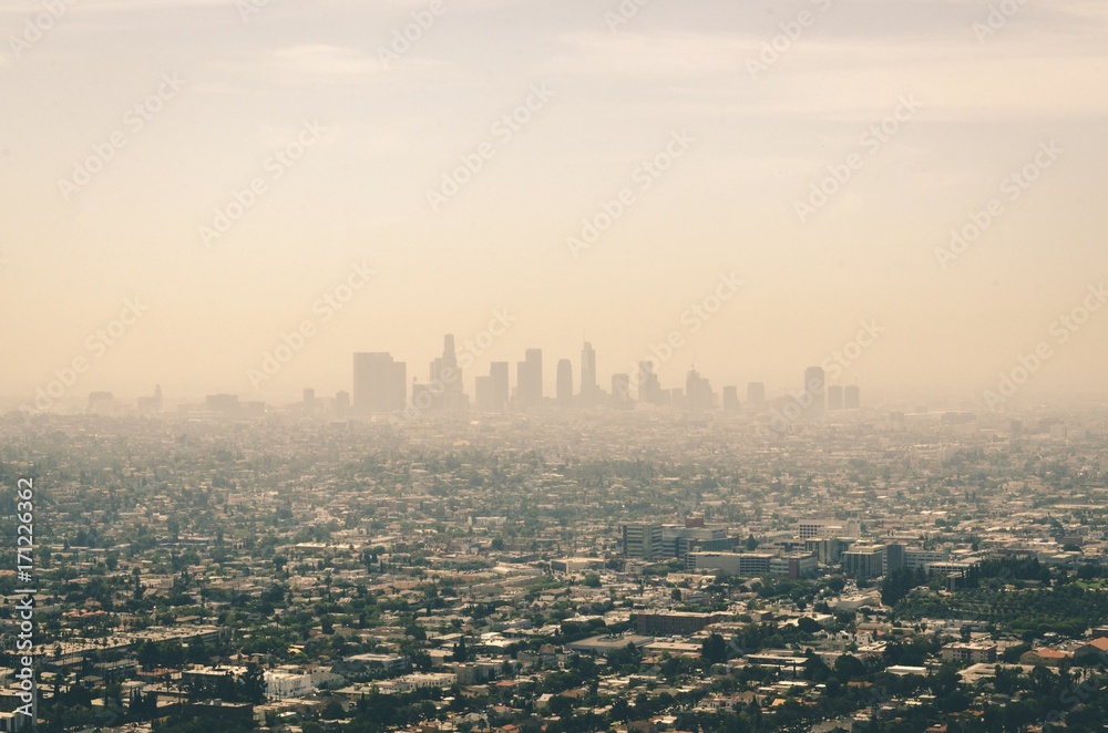 Fototapeta premium City of Angels 