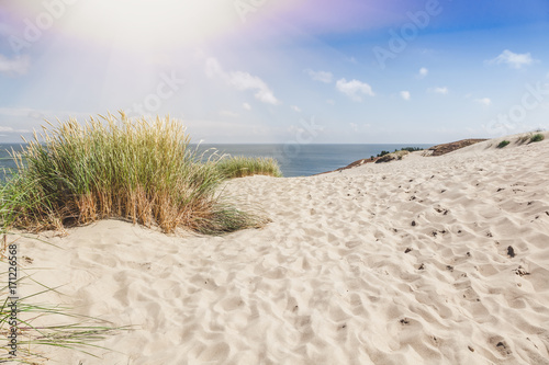 Fototapeta Naklejka Na Ścianę i Meble -  Dunes on the shore of the Baltic Sea, Neringa, Lithuania