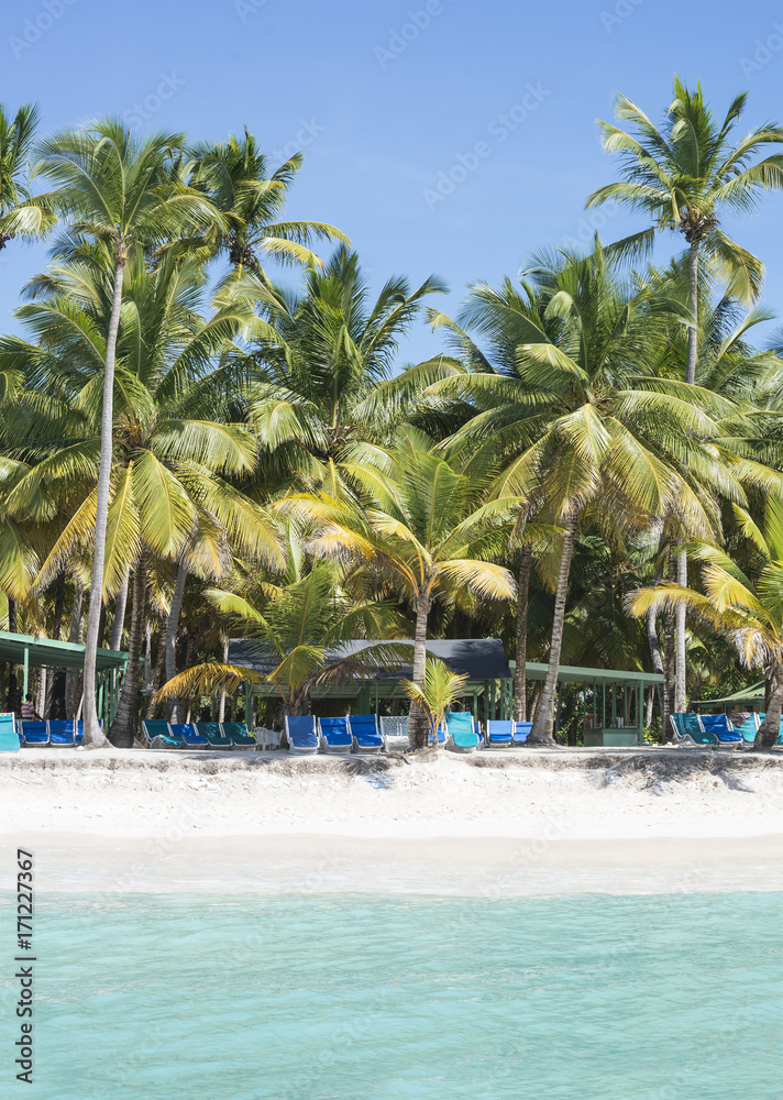 Obraz premium Caribbean sea with turquoise water and palms close to Saona island