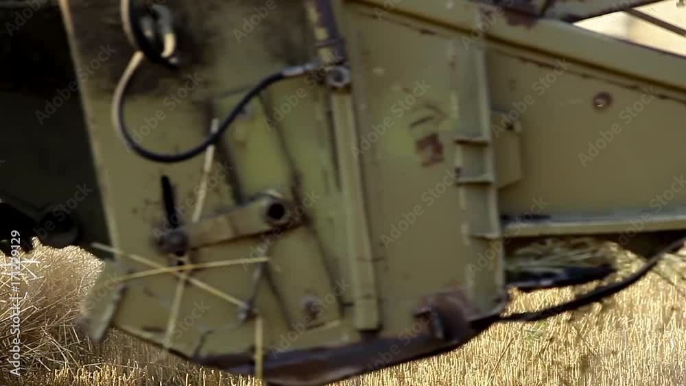 Harvester removes the grass, close-up