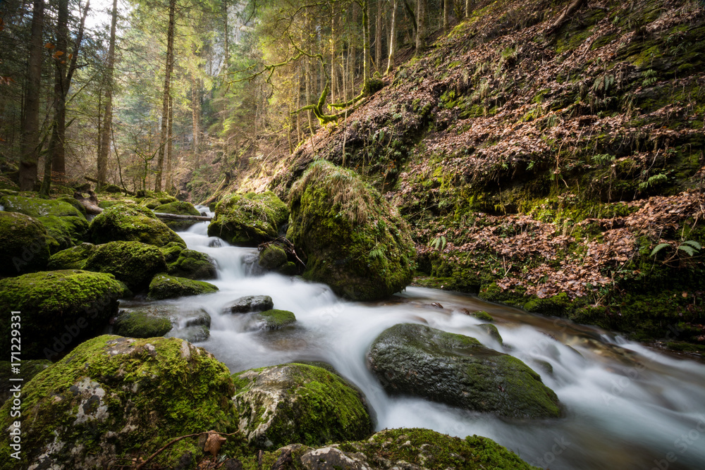 Obraz premium Torrent Vercors