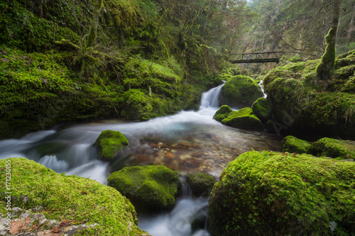 Torrent