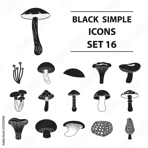 Mushroom set icons in black style. Big collection mushroom vector symbol stock illustration