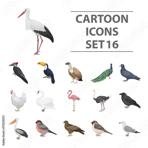 Bird set icons in cartoon style. Big collection bird vector symbol stock illustration