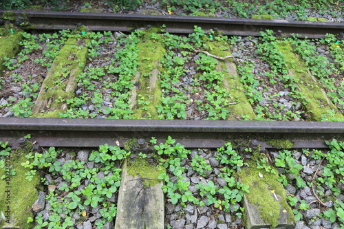 rails of an abandoned track for trains in the forest