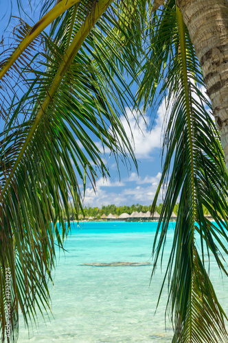 Paradise view of Rangiroa atoll  French Polynesia