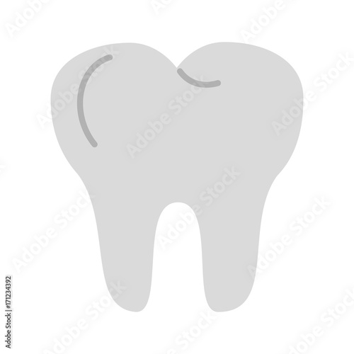 molar tooth dentistry related icon image vector illustration design 