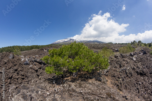 Etna Landscape
