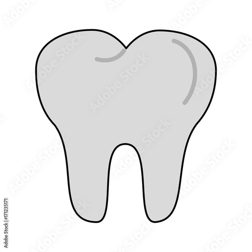 molar tooth dentistry related icon image vector illustration design 