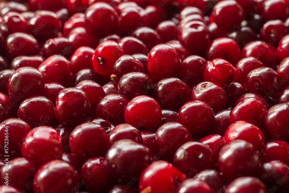 cherry background